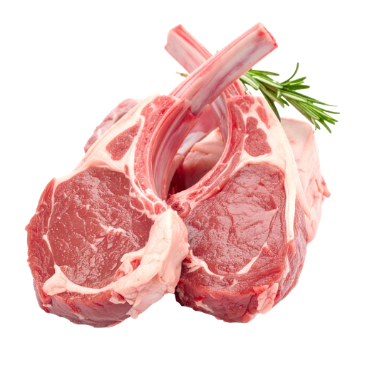 [1] producto prueba
